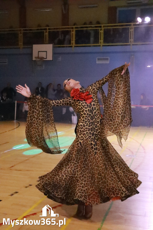 Fotorelacja VII: Otwarte Mistrzostwa Jury Krakowsko-Częstochowskiej w Koziegłowach