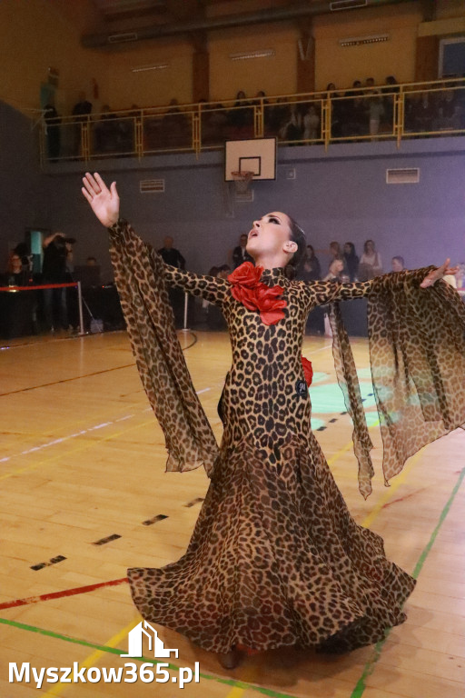 Fotorelacja VII: Otwarte Mistrzostwa Jury Krakowsko-Częstochowskiej w Koziegłowach