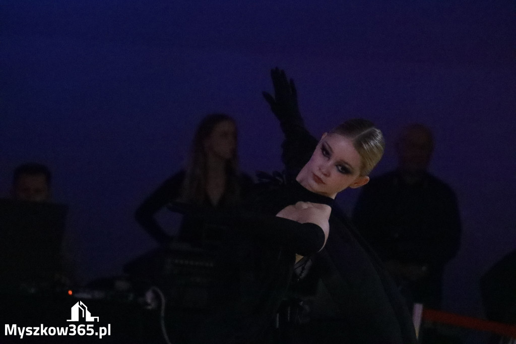 Fotorelacja VII: Otwarte Mistrzostwa Jury Krakowsko-Częstochowskiej w Koziegłowach