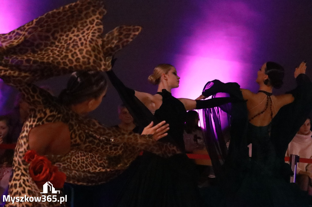 Fotorelacja VII: Otwarte Mistrzostwa Jury Krakowsko-Częstochowskiej w Koziegłowach