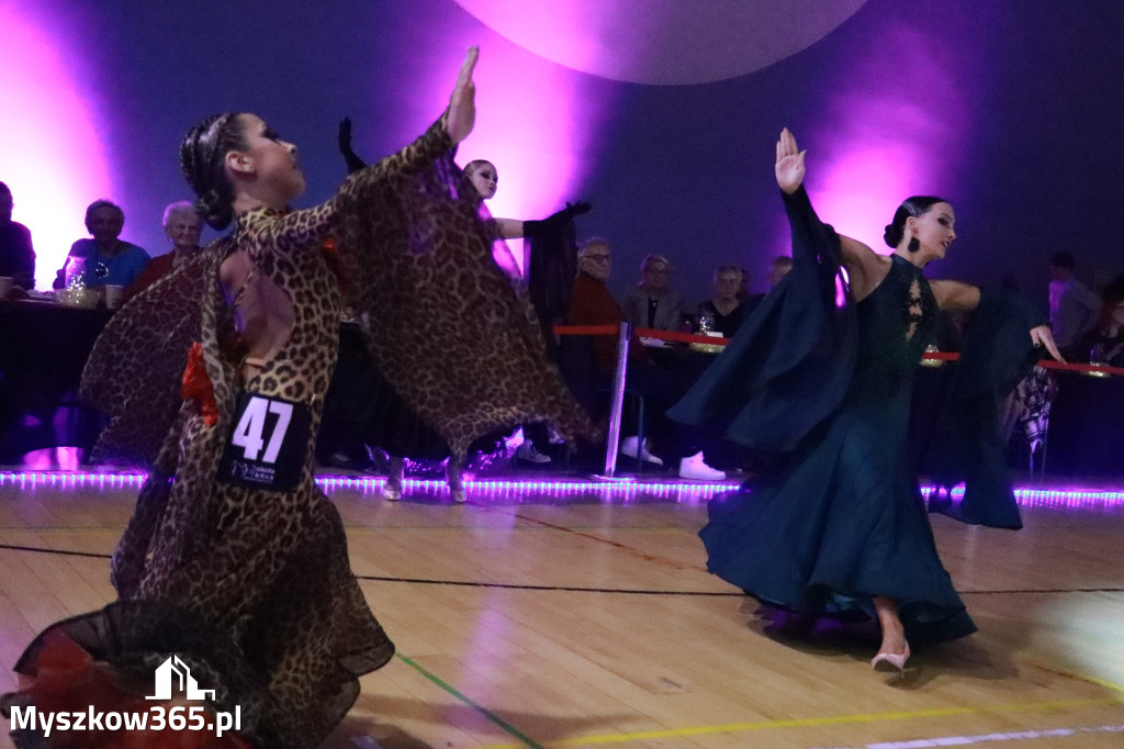 Fotorelacja VII: Otwarte Mistrzostwa Jury Krakowsko-Częstochowskiej w Koziegłowach