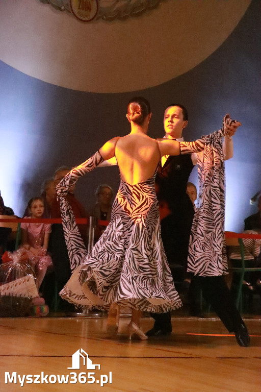 Fotorelacja VIII: Otwarte Mistrzostwa Jury Krakowsko-Częstochowskiej w Koziegłowach