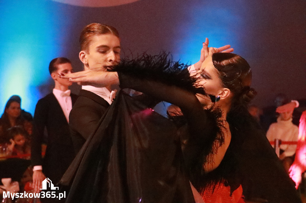 Fotorelacja VIII: Otwarte Mistrzostwa Jury Krakowsko-Częstochowskiej w Koziegłowach