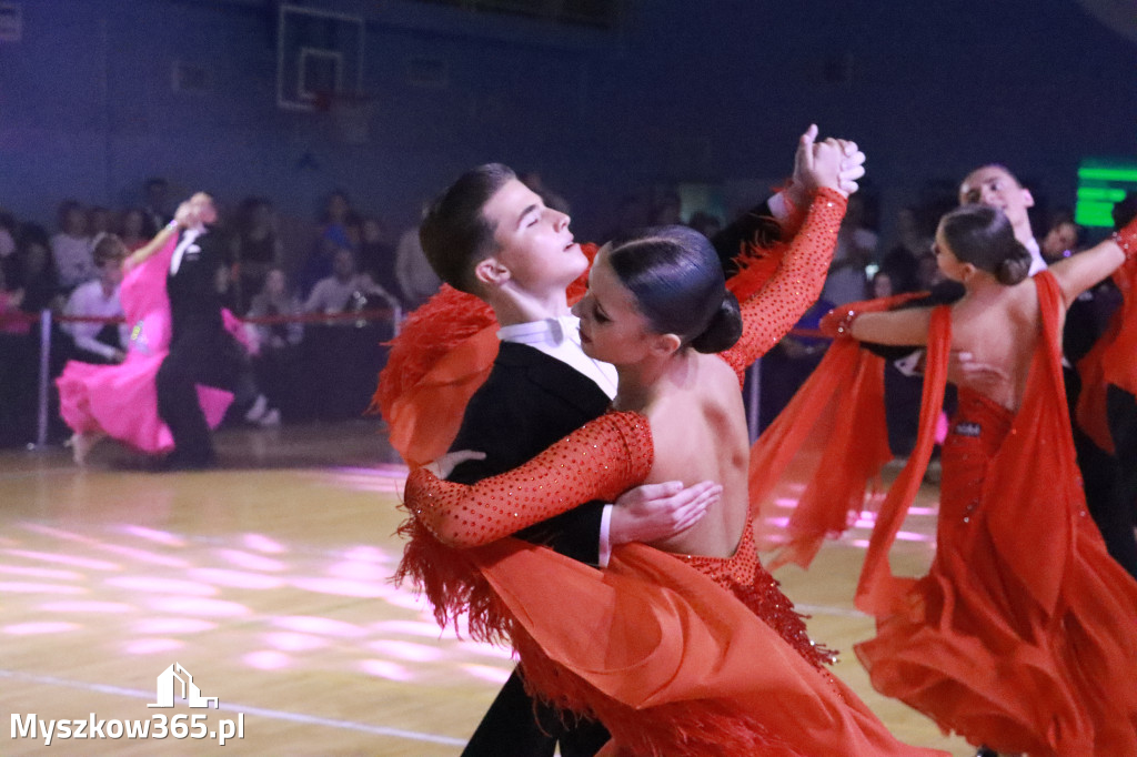 Fotorelacja VIII: Otwarte Mistrzostwa Jury Krakowsko-Częstochowskiej w Koziegłowach