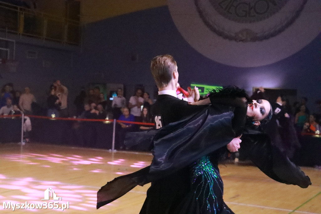 Fotorelacja VIII: Otwarte Mistrzostwa Jury Krakowsko-Częstochowskiej w Koziegłowach