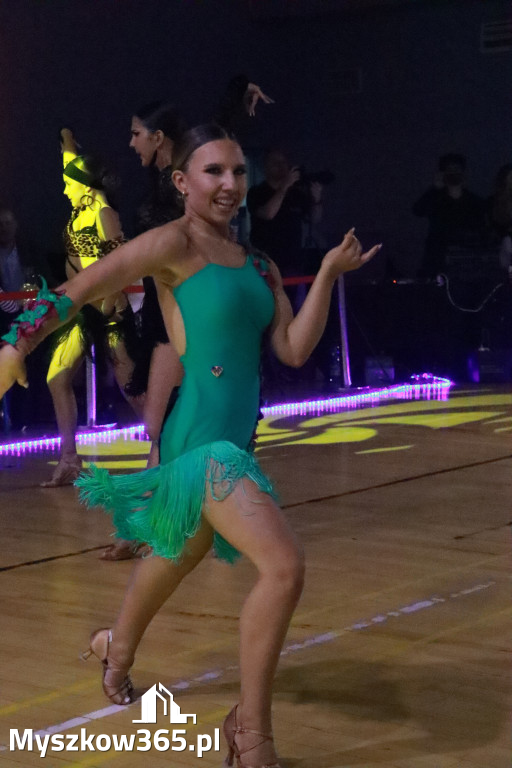 Fotorelacja VIII: Otwarte Mistrzostwa Jury Krakowsko-Częstochowskiej w Koziegłowach