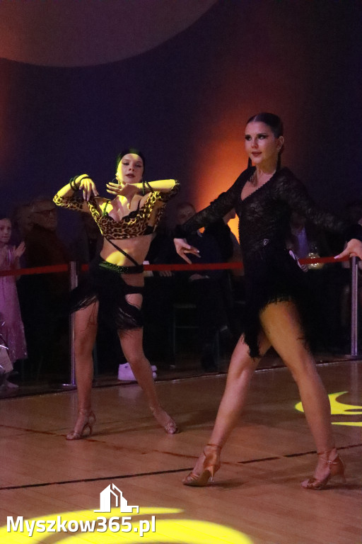 Fotorelacja VIII: Otwarte Mistrzostwa Jury Krakowsko-Częstochowskiej w Koziegłowach