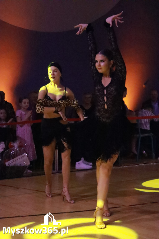 Fotorelacja VIII: Otwarte Mistrzostwa Jury Krakowsko-Częstochowskiej w Koziegłowach