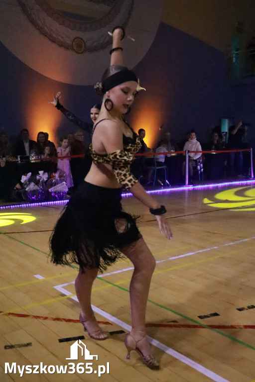 Fotorelacja VIII: Otwarte Mistrzostwa Jury Krakowsko-Częstochowskiej w Koziegłowach