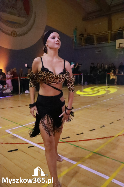 Fotorelacja VIII: Otwarte Mistrzostwa Jury Krakowsko-Częstochowskiej w Koziegłowach