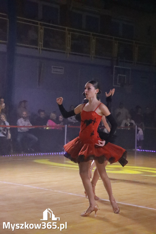 Fotorelacja VIII: Otwarte Mistrzostwa Jury Krakowsko-Częstochowskiej w Koziegłowach