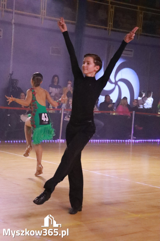 Fotorelacja VIII: Otwarte Mistrzostwa Jury Krakowsko-Częstochowskiej w Koziegłowach