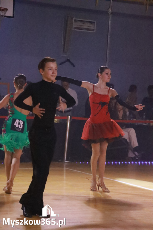 Fotorelacja VIII: Otwarte Mistrzostwa Jury Krakowsko-Częstochowskiej w Koziegłowach