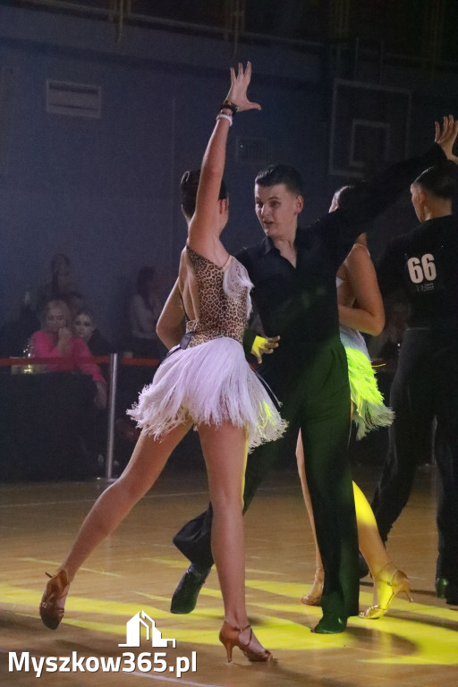 Fotorelacja VIII: Otwarte Mistrzostwa Jury Krakowsko-Częstochowskiej w Koziegłowach