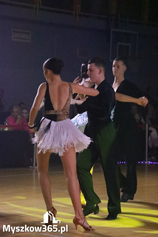 Fotorelacja VIII: Otwarte Mistrzostwa Jury Krakowsko-Częstochowskiej w Koziegłowach