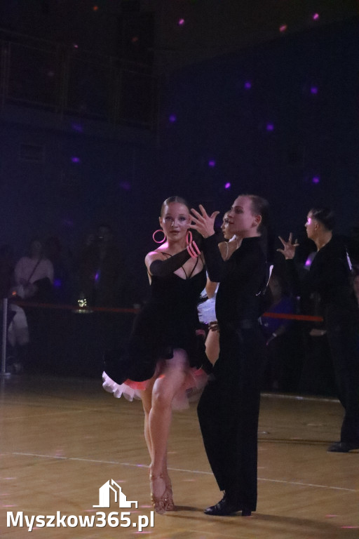 Fotorelacja VIII: Otwarte Mistrzostwa Jury Krakowsko-Częstochowskiej w Koziegłowach