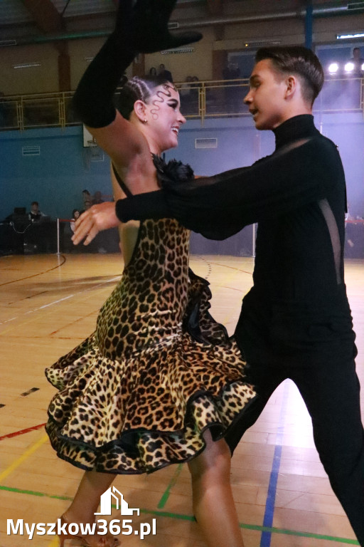 Fotorelacja VIII: Otwarte Mistrzostwa Jury Krakowsko-Częstochowskiej w Koziegłowach