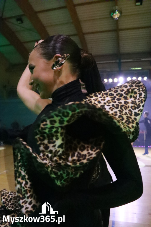 Fotorelacja VIII: Otwarte Mistrzostwa Jury Krakowsko-Częstochowskiej w Koziegłowach