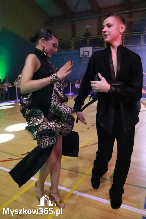 Fotorelacja VIII: Otwarte Mistrzostwa Jury Krakowsko-Częstochowskiej w Koziegłowach