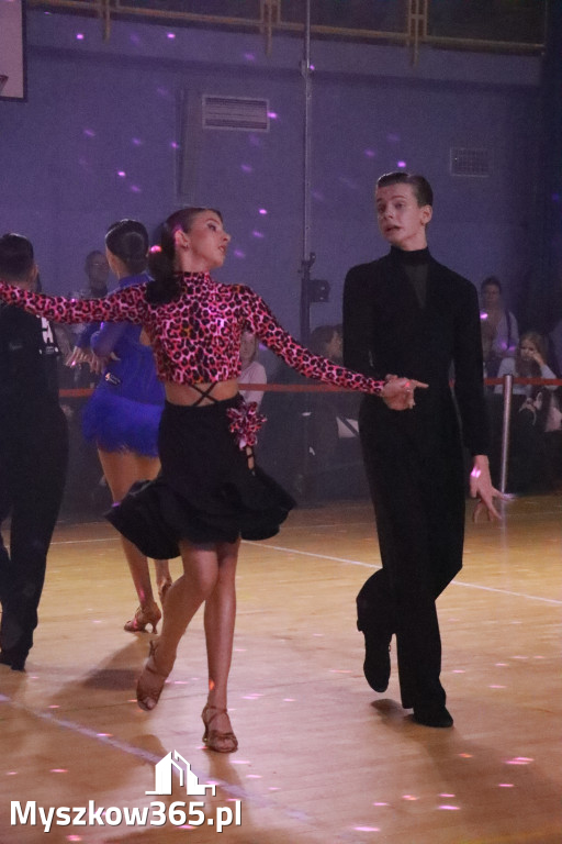 Fotorelacja VIII: Otwarte Mistrzostwa Jury Krakowsko-Częstochowskiej w Koziegłowach