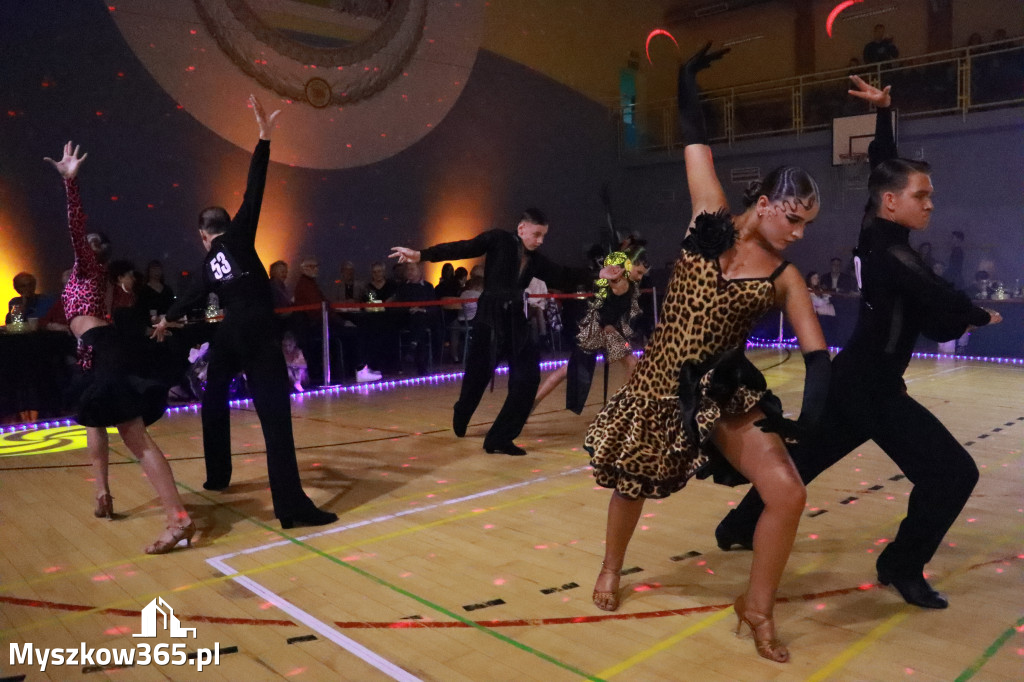 Fotorelacja VIII: Otwarte Mistrzostwa Jury Krakowsko-Częstochowskiej w Koziegłowach