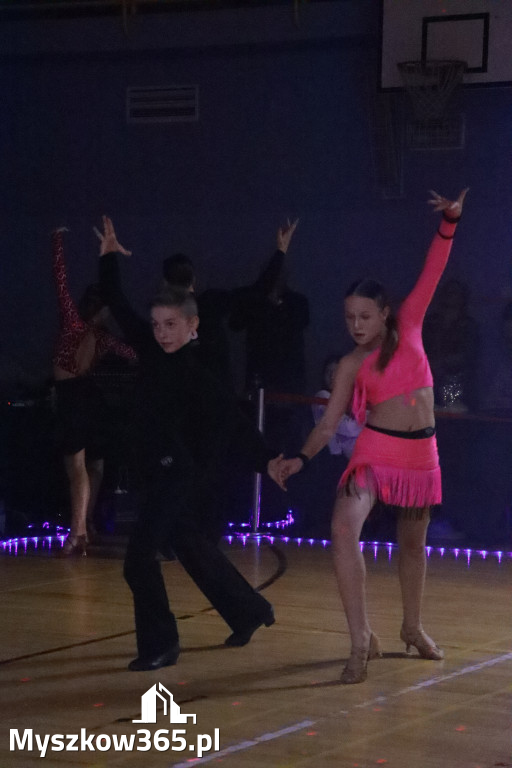 Fotorelacja VIII: Otwarte Mistrzostwa Jury Krakowsko-Częstochowskiej w Koziegłowach