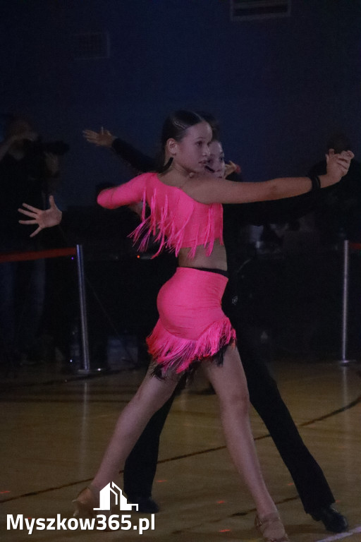 Fotorelacja VIII: Otwarte Mistrzostwa Jury Krakowsko-Częstochowskiej w Koziegłowach