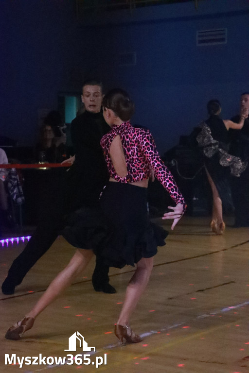 Fotorelacja IX: Otwarte Mistrzostwa Jury Krakowsko-Częstochowskiej w Koziegłowach
