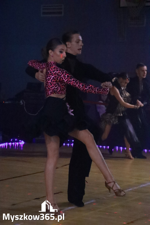 Fotorelacja IX: Otwarte Mistrzostwa Jury Krakowsko-Częstochowskiej w Koziegłowach