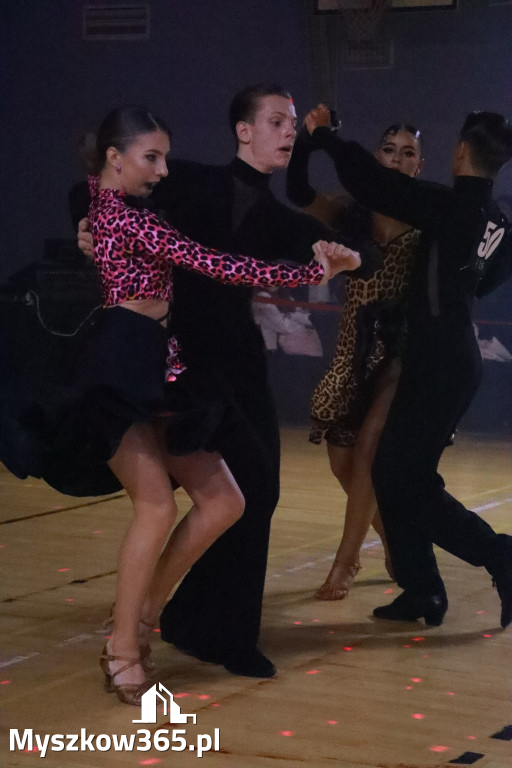 Fotorelacja IX: Otwarte Mistrzostwa Jury Krakowsko-Częstochowskiej w Koziegłowach