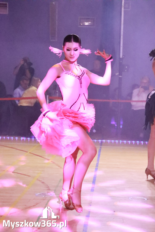 Fotorelacja IX: Otwarte Mistrzostwa Jury Krakowsko-Częstochowskiej w Koziegłowach