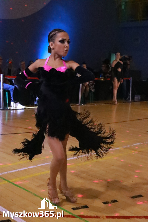 Fotorelacja IX: Otwarte Mistrzostwa Jury Krakowsko-Częstochowskiej w Koziegłowach