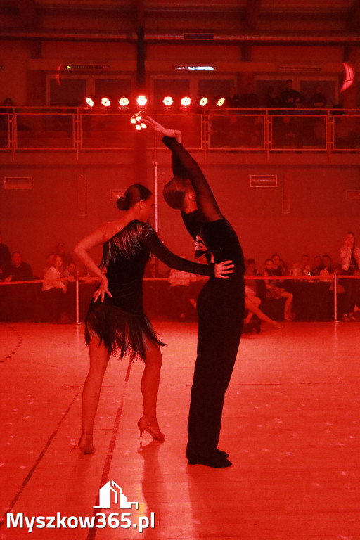 Fotorelacja IX: Otwarte Mistrzostwa Jury Krakowsko-Częstochowskiej w Koziegłowach