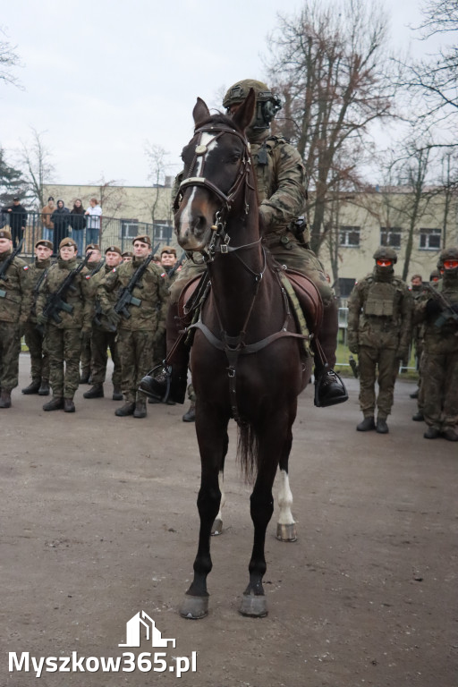 Fotorelacja: Defilada 13. Śląskiej Brygady Obrony Terytorialnej w Myszkowie