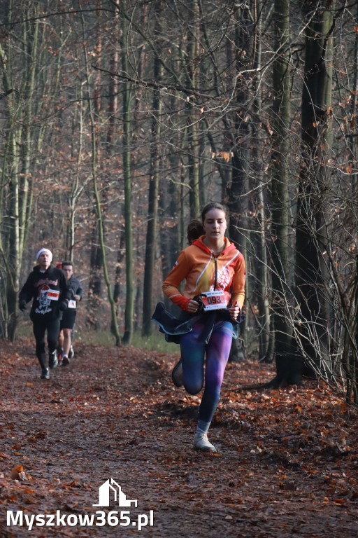 Fotorelacja: Mikołajkowy 9. Bieg po Zdrowie w Myszkowie