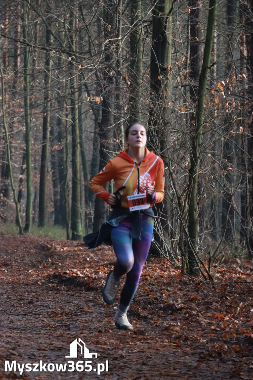 Fotorelacja: Mikołajkowy 9. Bieg po Zdrowie w Myszkowie