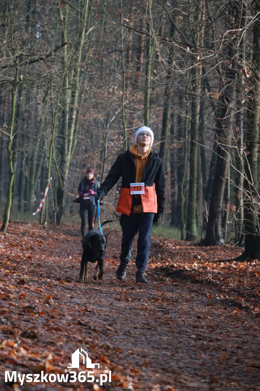 Fotorelacja: Mikołajkowy 9. Bieg po Zdrowie w Myszkowie