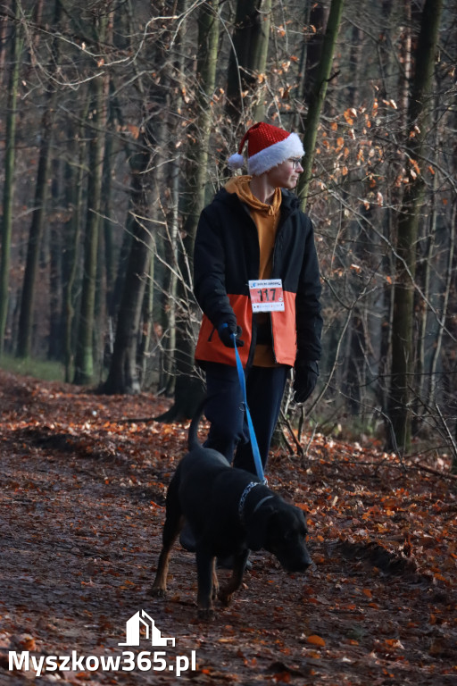 Fotorelacja: Mikołajkowy 9. Bieg po Zdrowie w Myszkowie