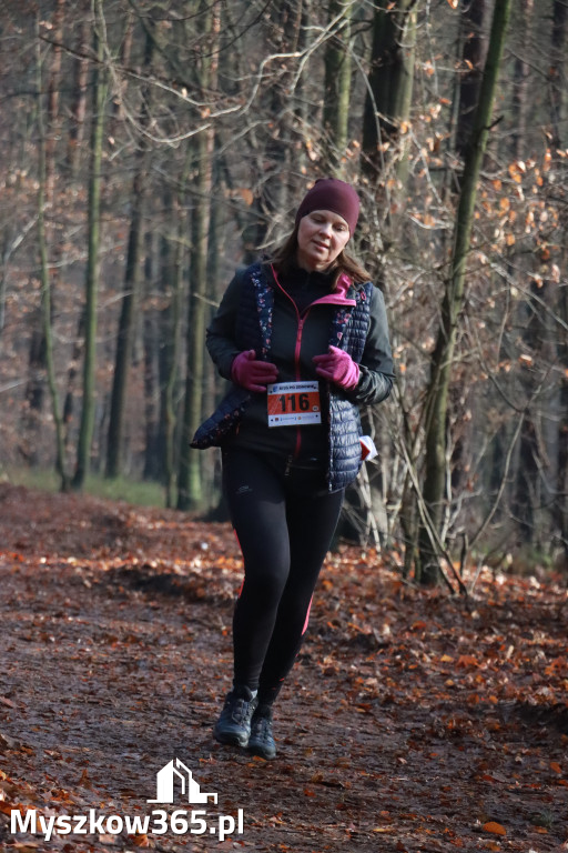 Fotorelacja: Mikołajkowy 9. Bieg po Zdrowie w Myszkowie