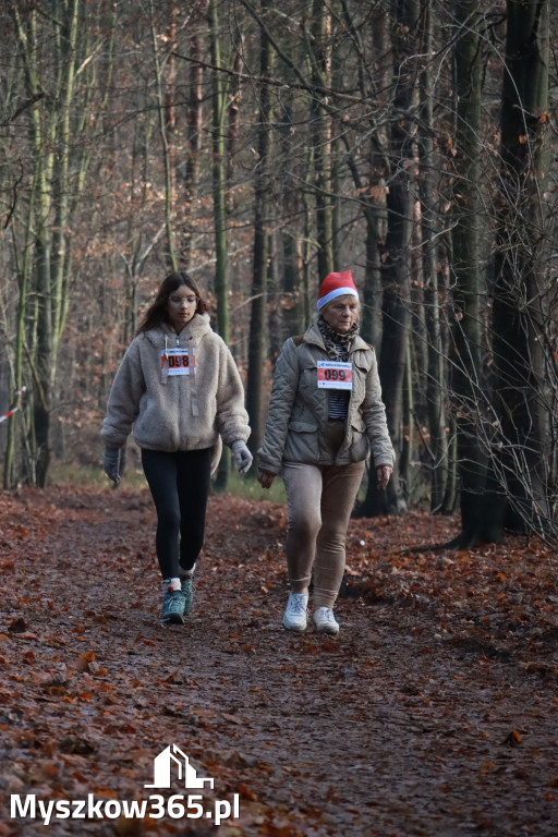 Fotorelacja: Mikołajkowy 9. Bieg po Zdrowie w Myszkowie