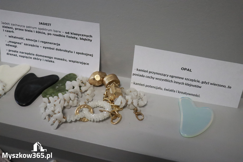 Fotorelacja: Wystawa z cyklu MOJE PASJE, HOBBY pani Lucyny Bąk członkini Klubu Seniora Koziołek