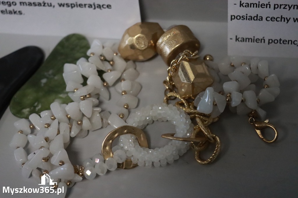 Fotorelacja: Wystawa z cyklu MOJE PASJE, HOBBY pani Lucyny Bąk członkini Klubu Seniora Koziołek