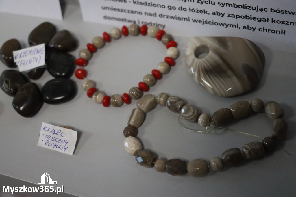 Fotorelacja: Wystawa z cyklu MOJE PASJE, HOBBY pani Lucyny Bąk członkini Klubu Seniora Koziołek