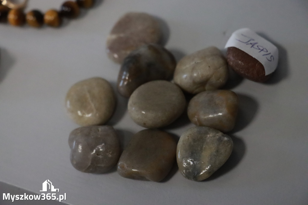 Fotorelacja: Wystawa z cyklu MOJE PASJE, HOBBY pani Lucyny Bąk członkini Klubu Seniora Koziołek