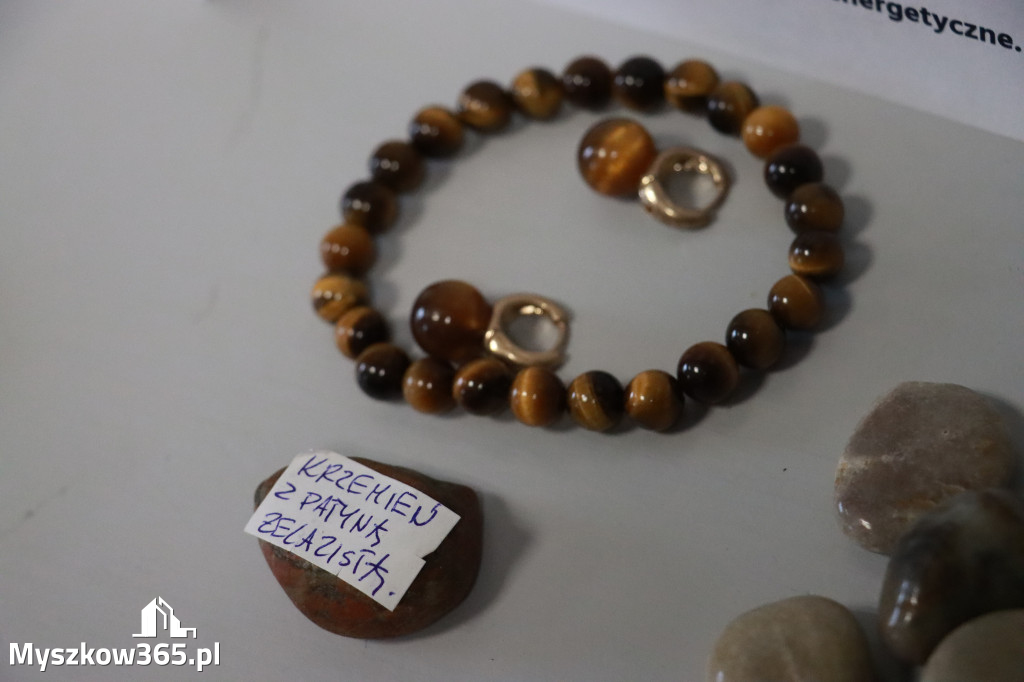 Fotorelacja: Wystawa z cyklu MOJE PASJE, HOBBY pani Lucyny Bąk członkini Klubu Seniora Koziołek