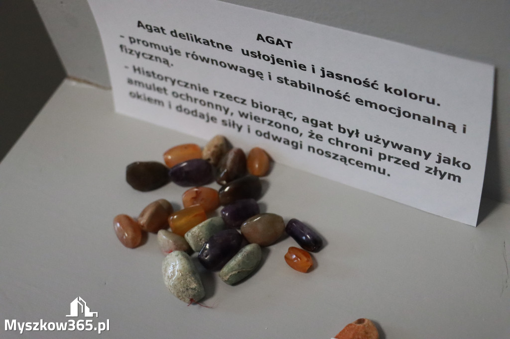 Fotorelacja: Wystawa z cyklu MOJE PASJE, HOBBY pani Lucyny Bąk członkini Klubu Seniora Koziołek