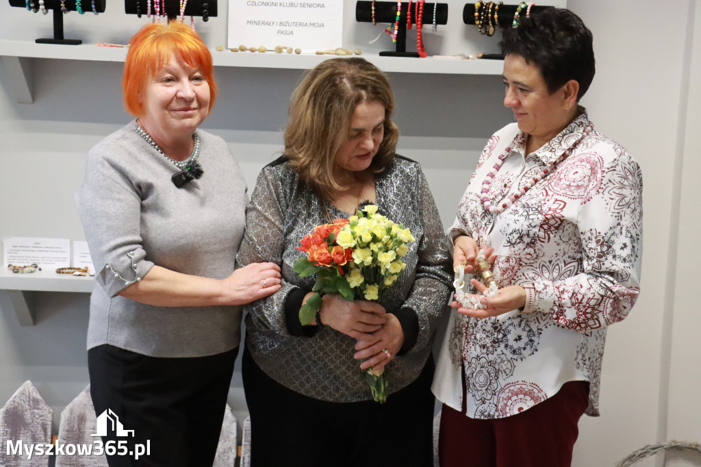Fotorelacja: Wystawa z cyklu MOJE PASJE, HOBBY pani Lucyny Bąk członkini Klubu Seniora Koziołek