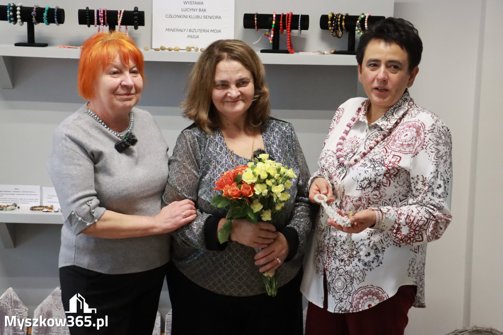 Fotorelacja: Wystawa z cyklu MOJE PASJE, HOBBY pani Lucyny Bąk członkini Klubu Seniora Koziołek