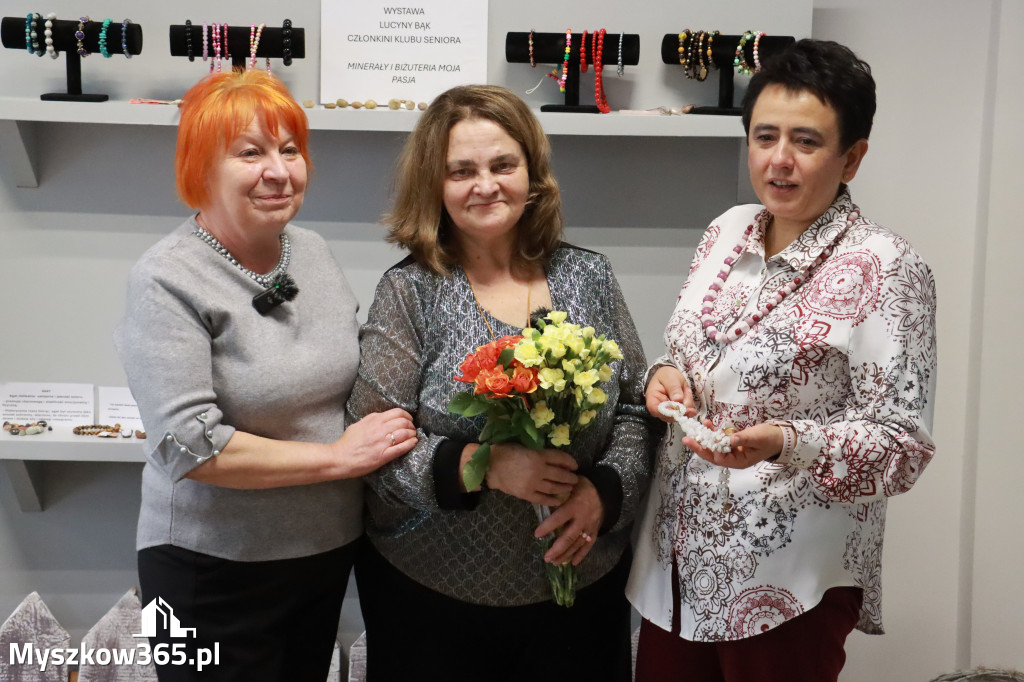 Fotorelacja: Wystawa z cyklu MOJE PASJE, HOBBY pani Lucyny Bąk członkini Klubu Seniora Koziołek