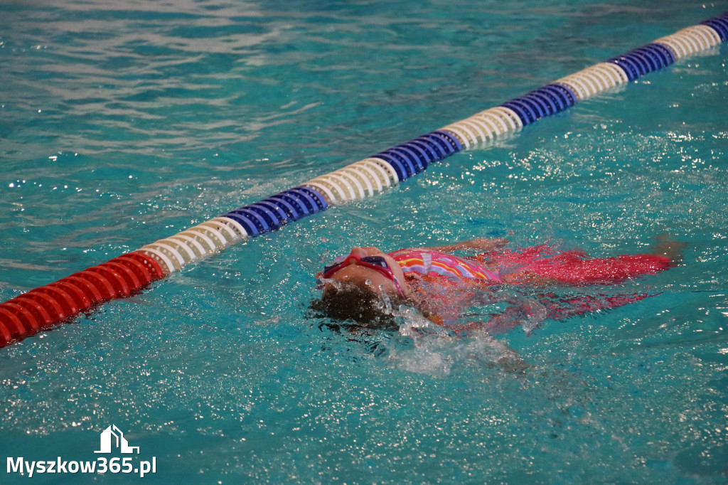 Fotorelacja I: Zawody pływackie w MOSiR Myszków